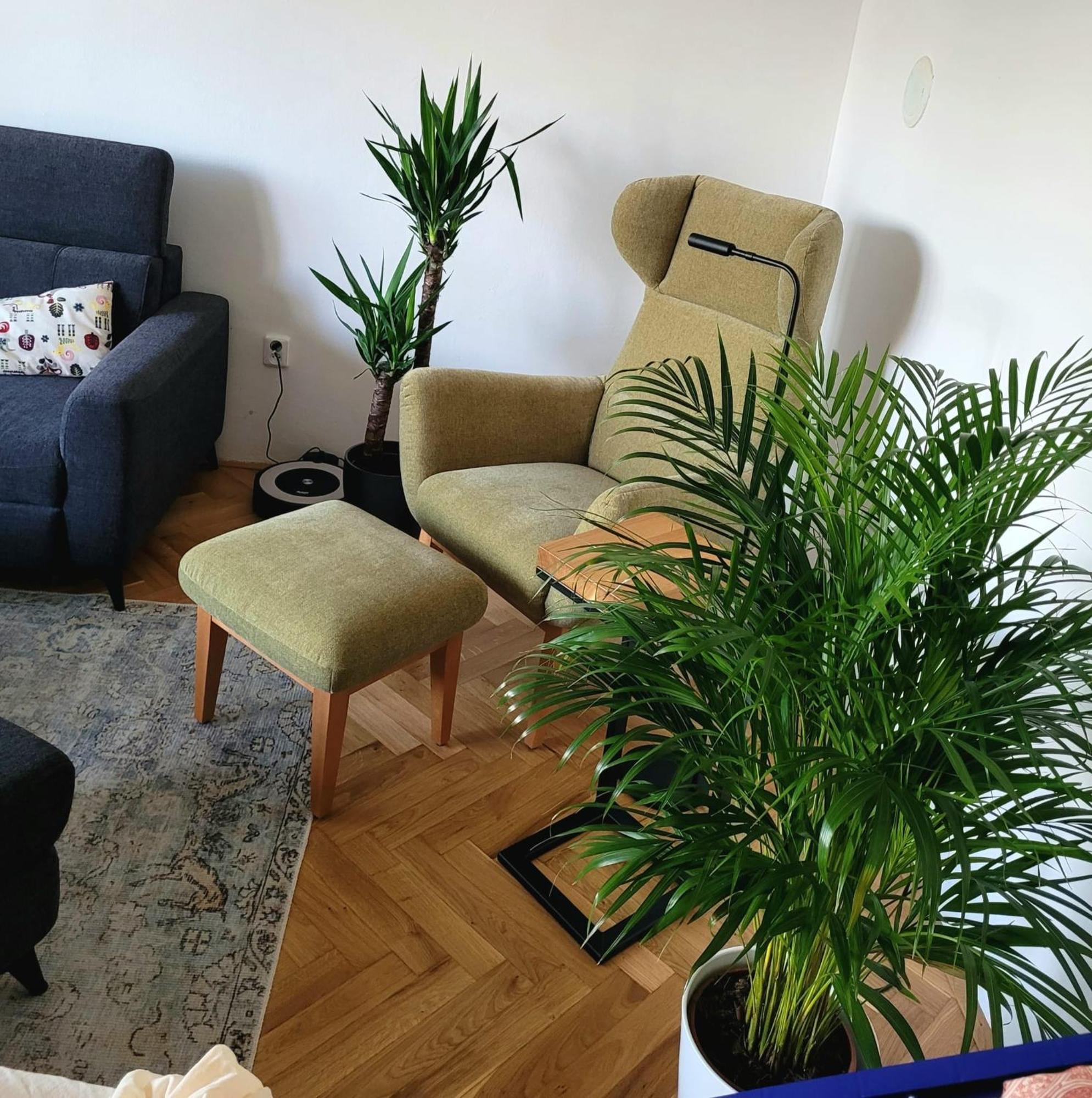 Novy Apartman Eva Йичин Экстерьер фото